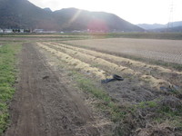 Ȫ���ͻҤǤ��� 