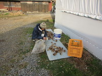 ���������ʡ��졪 