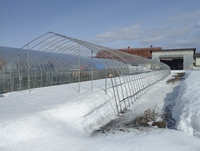 �������㤬ͻ���Ƥ��ޤ����� 