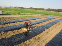 �ꤢ���ˤ�Ǧ�Ѥ�ɬ�פǤ��� 