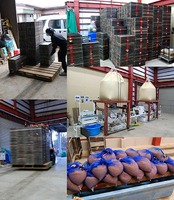 �����ޤ��ν��� 