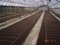 ���Ť����¤٤�줿����Ȣ 