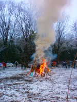 �����ο� 