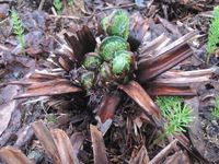 �դ�̣�������ߤ����Ф��ޤ����� 