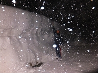 �̿��˼̤��������ϡ��ߤ�ߤޤʤ��㡣�ʸ����Ť餤�Ǥ���������礬��򿭤Ф���Ω�äƤ��ޤ����� 