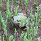 �ľ��˥��ޥ����� 