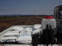 �Ĥ�ܤ�ͭ�������򻵤��� 