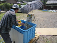 �������򤱤˻��򤵤��ޤ����� 