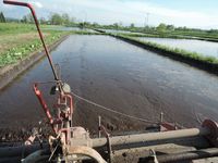 �äߤα���«�δ� 