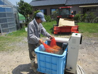 ������Ǹ塢����Ҥ�����䤷�ޤ��� 