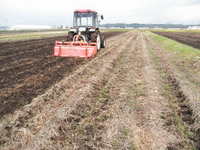 �ĵ�������� 