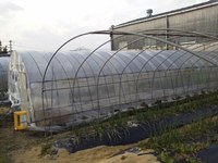 ��ȹ�碌�� 