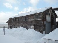 ��ǯ���㤬���ʤ��� 