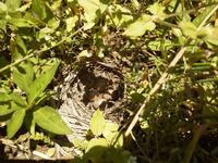 ��Ω�Ĥޤǡ��Ԥ��ޤ��� 