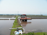 �夫����˻�� 