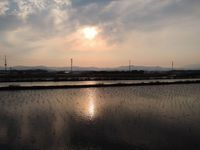 ������뤫�ä� 