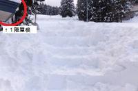 ����˸�����Τ��������β�����ʬ�� 