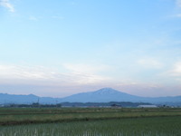 Ļ���������줤 