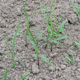 ���Ф���������� 