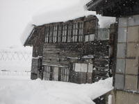 ����������Ǥ��� 