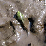 ����������꤫�� 