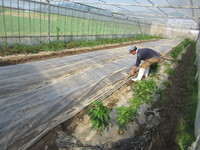 ��äȽ���ä��� 