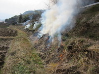 ��ͷ�Ӥ����� 