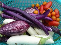 ����ڤ��äѤ��� 