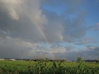 �����������Ф��� 