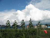 �����ߤä��ߤ����ʤ��� 