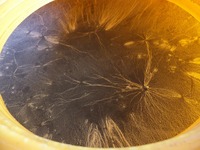 �줬ɽ�̤ˤ��äѤ�ĥ��ޤ��� 