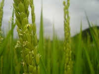 ��β֡���ʴ�νִ֤Ǥ��� 