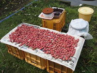 �ߴ��������ޤ����� 