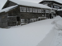 �������ޤ��� 