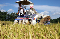 �Ҷ��Ȱ��˰𴢤ꤷ�Ƥ��ޤ��� 