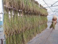 ���ƴ�����Ǥ��� 