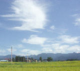 �⤦�����𴢤� 