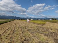 ��������Ǥ��������襫�å����襫�å� 