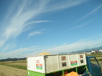 �𴢤����¤Ǥ��� 