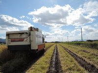 �𴢤괰λ�Ǥ��� 