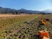 �����᤭���餹��Ǥ� 