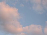 ��Ļ�褿�͡� 