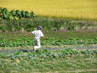 Ƹ���˵��äƥ��祦������ɤ������Ƥޤ��� 