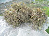 ��Ʀ�򴢤��� 