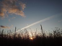 �����Ⲻ�䤫���������ޤ��� 