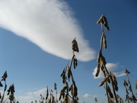 ��Ʀ���� 