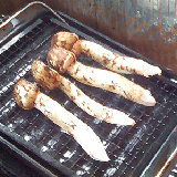 ��������ʪ�ΡĤǤ��� 