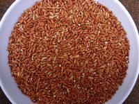 ���������ƤǤ��� 