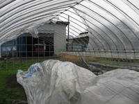 �ӥˡ����ˤ������� 