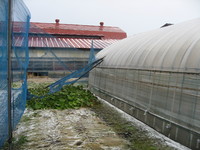 �����ͥåȤλ��줬�ϥ�����ľ�⡪ 